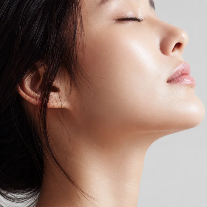 국소 지방과 조직 대사 환경의 관계를 설명하는 일러스트