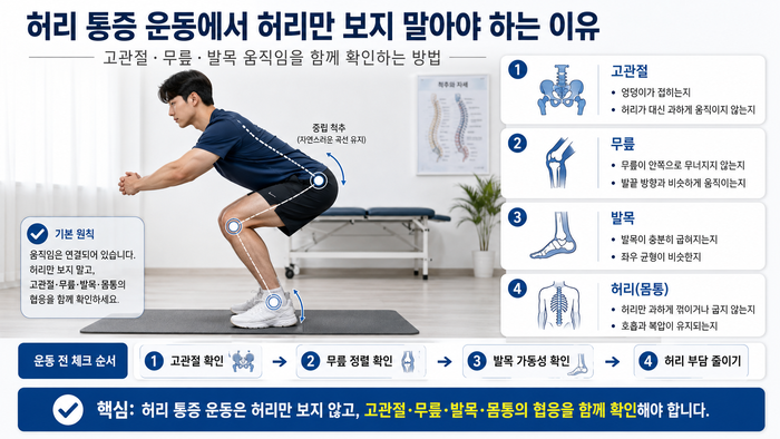 허리 외에 고관절, 발목 등 전신 움직임을 강조하는 이미지