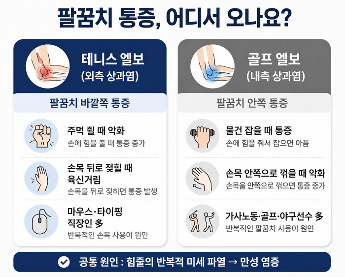 팔꿈치 힘줄과 통증 위치를 나타내는 해부학적 이미지