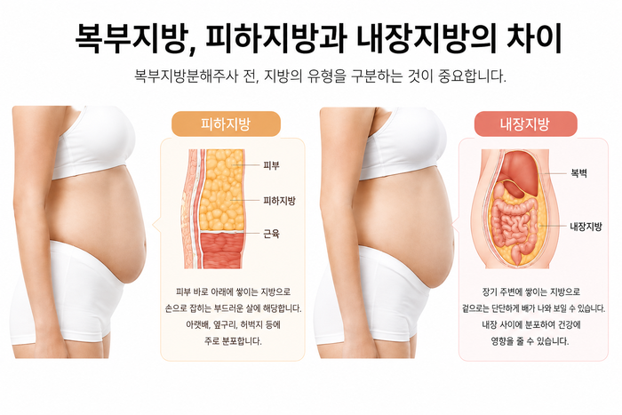 복부 지방 관리 체크리스트와 생활 패턴 점검 이미지
