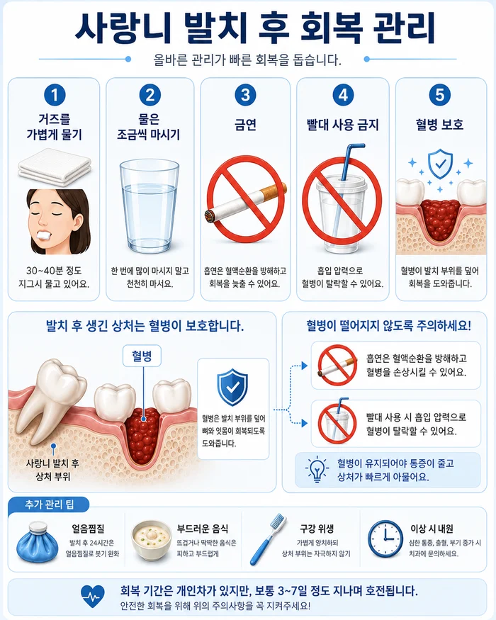 사랑니 발치 전 신경관 위치 확인의 중요성을 설명하는 도식
