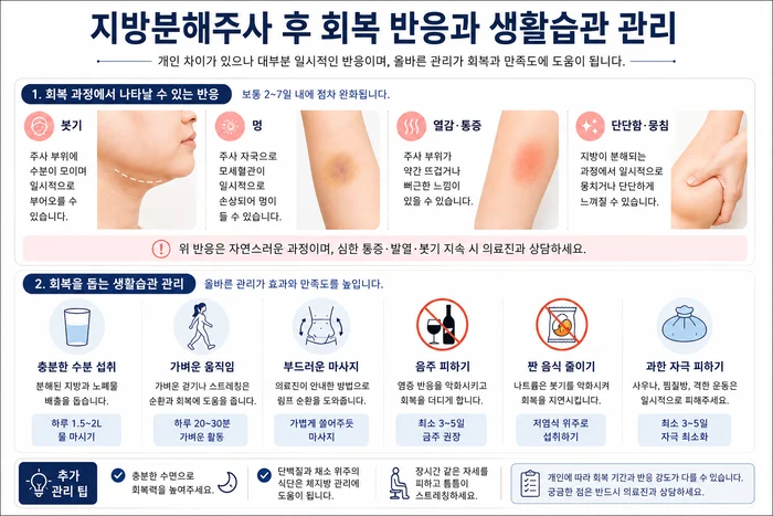 지방분해주사 후 회복 관리 방법 안내 이미지