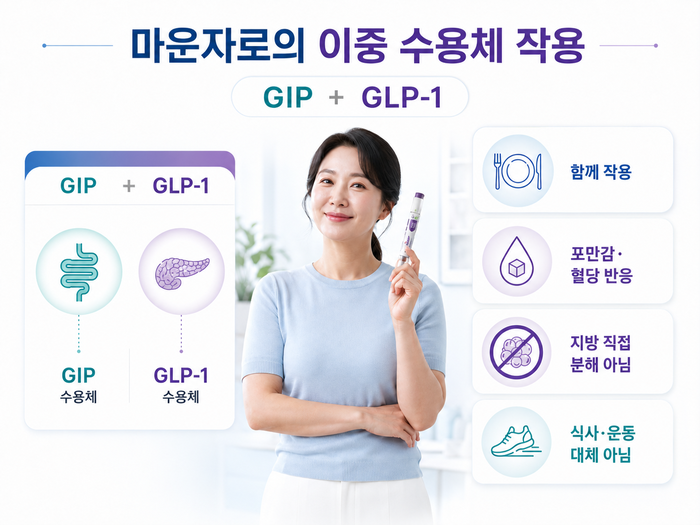 GLP-1과 GIP 수용체 활성화 후 인슐린 분비와 포만감 관련 이미지