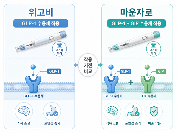 마운자로와 위고비의 비교를 나타내는 이미지