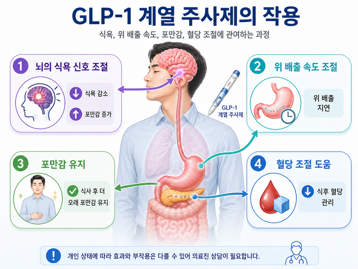 비만치료 주사제의 작용 기전을 설명하는 이미지