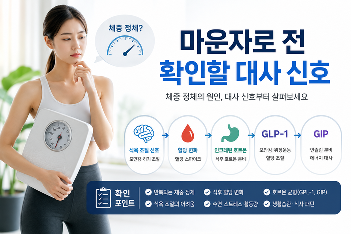 체중 정체와 대사 신호의 흐름을 설명하는 인포그래픽