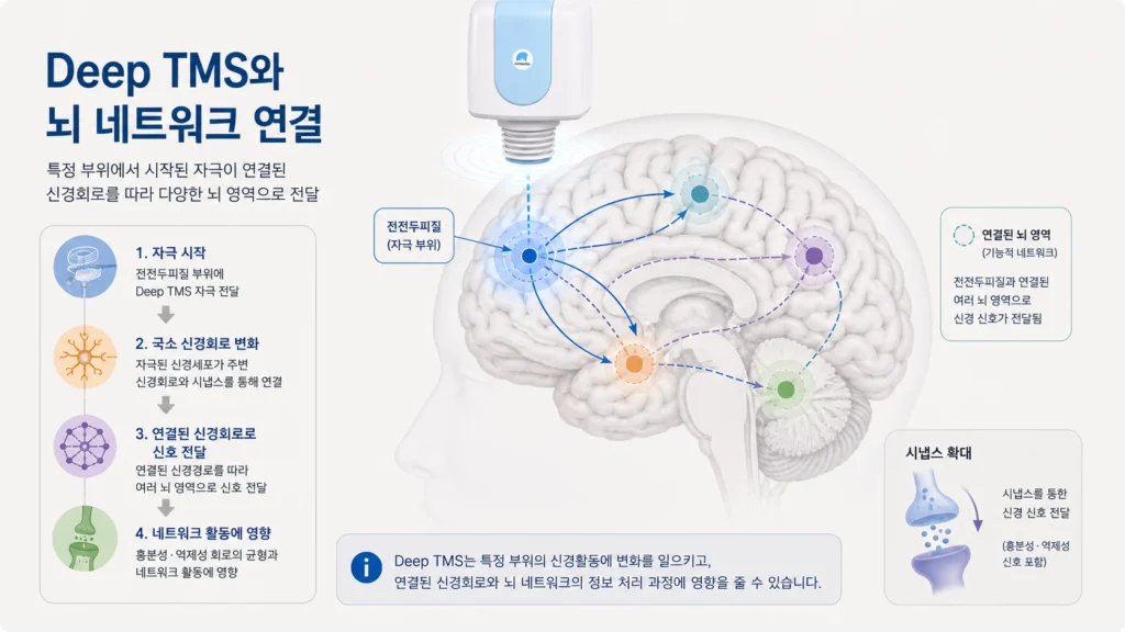 deep-tms-neural-network-propagation