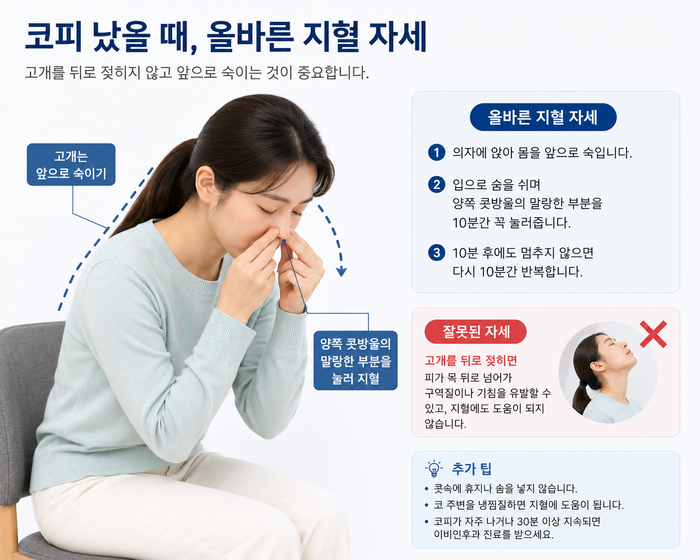 코피가 날 때 고개를 앞으로 숙이고 콧방울을 압박하는 지혈법을 설명하는 그림