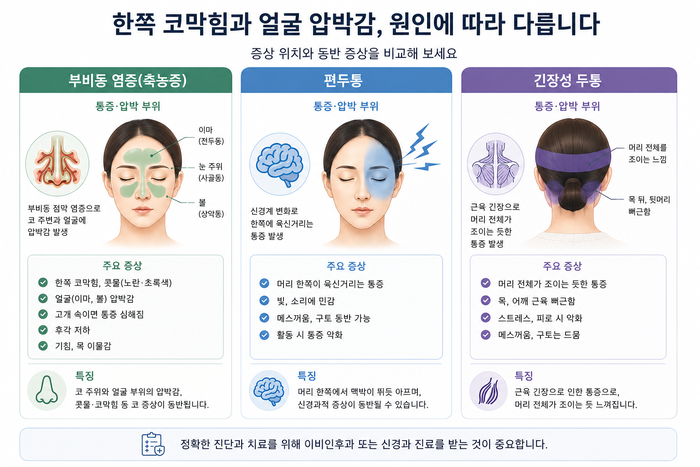 코막힘과 두통이 항상 같은 원인으로 생기지 않음을 보여주는 그림