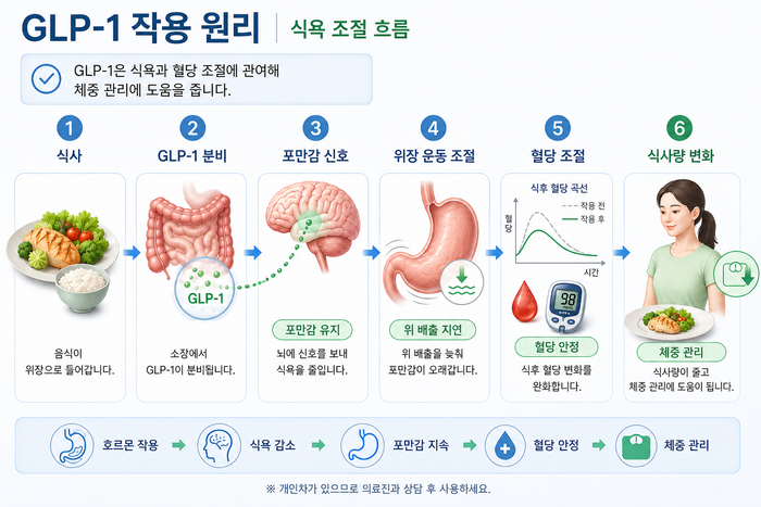GLP-1 계열 비만주사의 식욕 조절 원리를 설명하는 그림