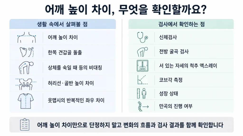 척추측만증 검사에서 어깨와 견갑골, 코브각을 확인하는 과정을 나타낸 그림