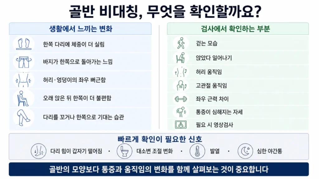 골반 비대칭과 척추측만증 구분에 대한 설명을 돕는 AI 생성 이미지