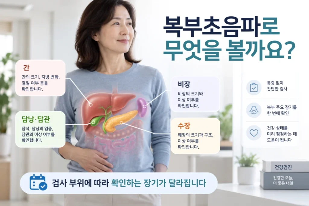 복부초음파에서 확인하는 간, 담낭, 췌장 등 복부 장기 그림