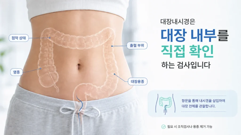colonoscopy-colon-examination-mechanism-2