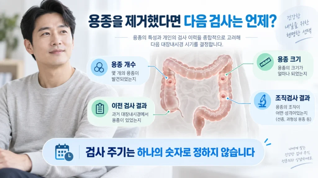 대장용종 제거 후 추적검사 시기를 안내하는 이미지