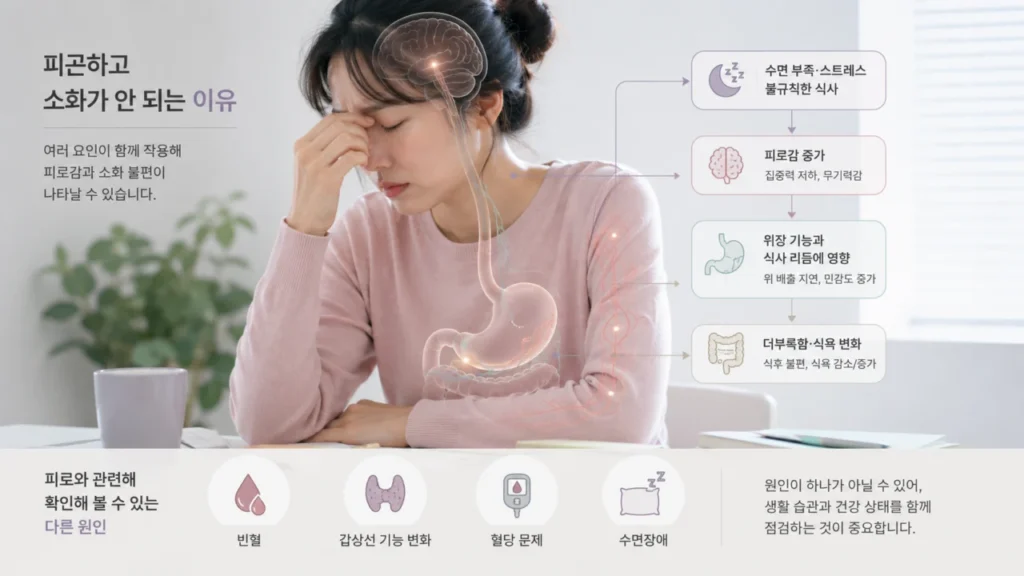 fatigue-digestion-body-mechanism-medical