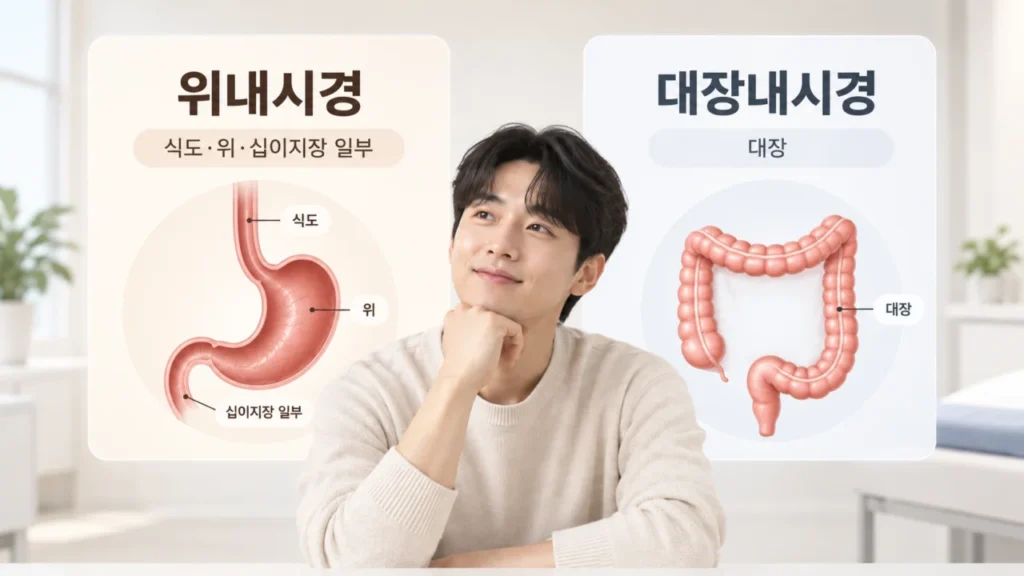 위내시경과 대장내시경은 어떻게 다를까? 검사 대상 증상부터 준비 방법까지