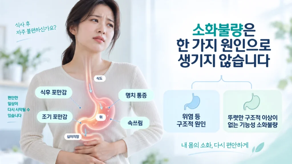 위염과 기능성 소화불량의 차이를 보여주는 소화 과정 그림