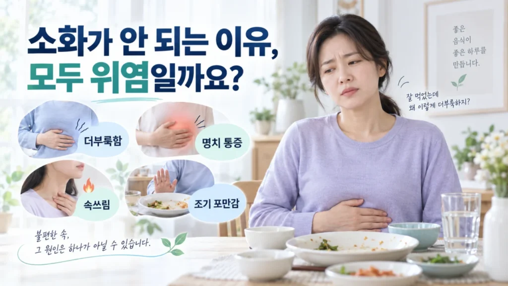 [내과 진료와 소화기 증상 2편] 소화불량이 반복되는 이유는? 위염·명치 통증 원인