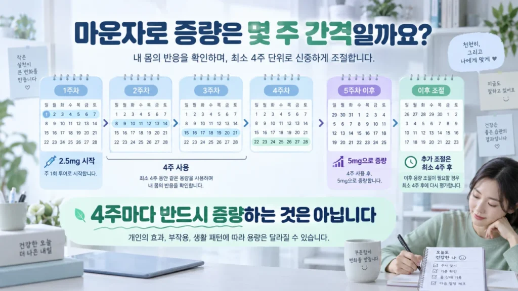 [마운자로처방과 원리 1편] 마운자로 증량은 몇주 간격일까요? 2.5mg 시작·용량 기준