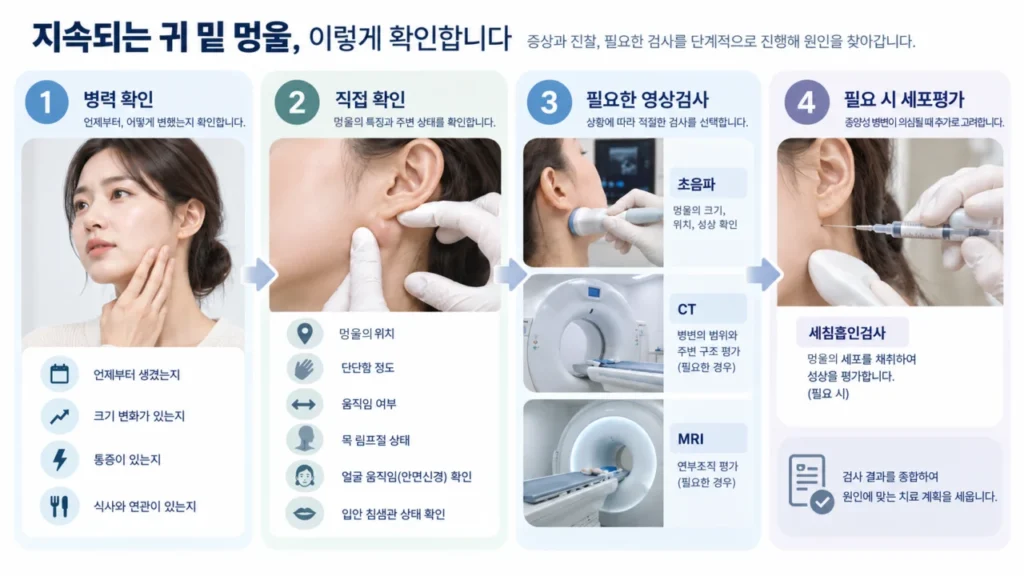 귀 밑 멍울 평가 과정과 검사 선택 흐름을 나타내는 그림
