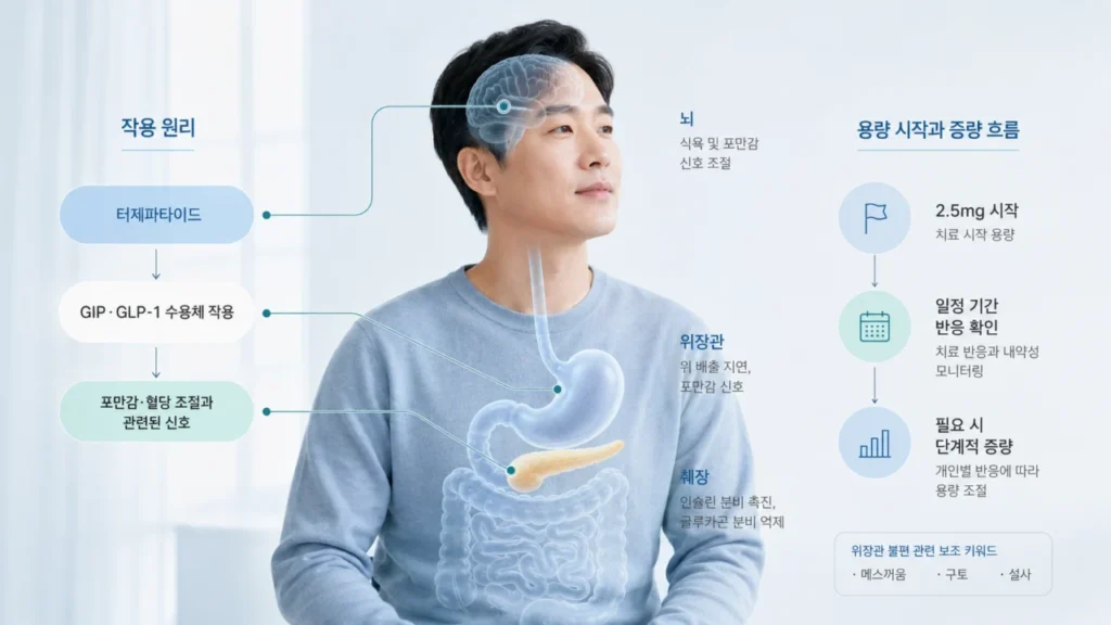 [체중 감량·다이어트 사례 2편] 마운자로 처방 기준은? 용량·부작용·처방 전 확인사항
