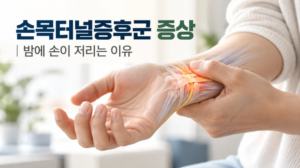 손목터널증후군의 주요 증상과 손가락 저림을 설명하는 그림